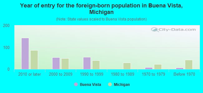 Year of entry for the foreign-born population in Buena Vista, Michigan