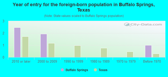 Year of entry for the foreign-born population in Buffalo Springs, Texas