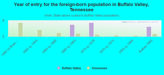 Year of entry for the foreign-born population in Buffalo Valley, Tennessee