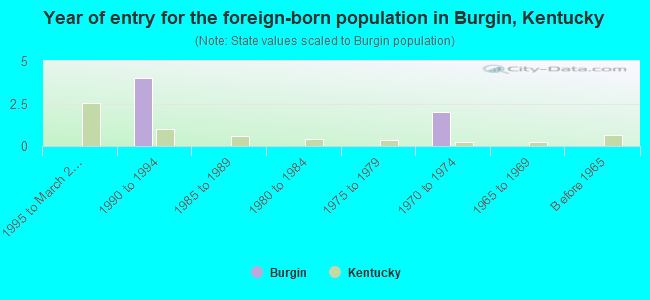 Year of entry for the foreign-born population in Burgin, Kentucky