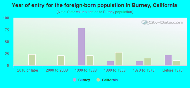 Year of entry for the foreign-born population in Burney, California