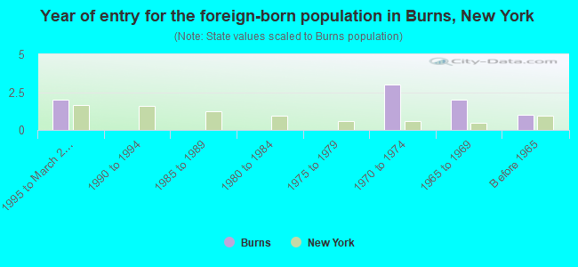 Year of entry for the foreign-born population in Burns, New York