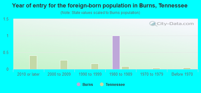 Year of entry for the foreign-born population in Burns, Tennessee
