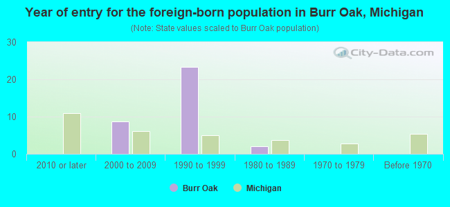 Year of entry for the foreign-born population in Burr Oak, Michigan