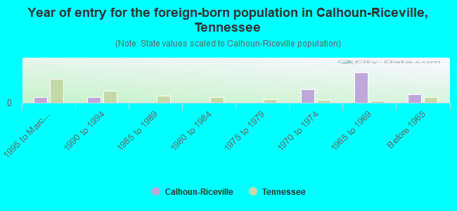 Year of entry for the foreign-born population in Calhoun-Riceville, Tennessee