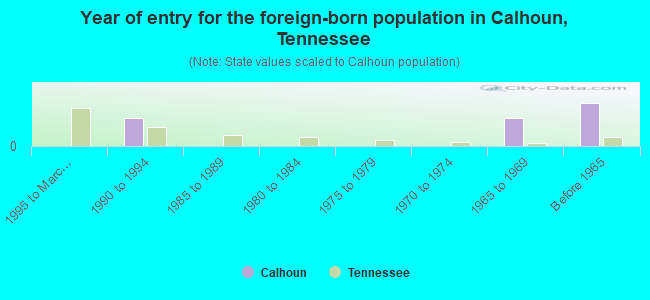 Year of entry for the foreign-born population in Calhoun, Tennessee