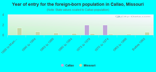 Year of entry for the foreign-born population in Callao, Missouri
