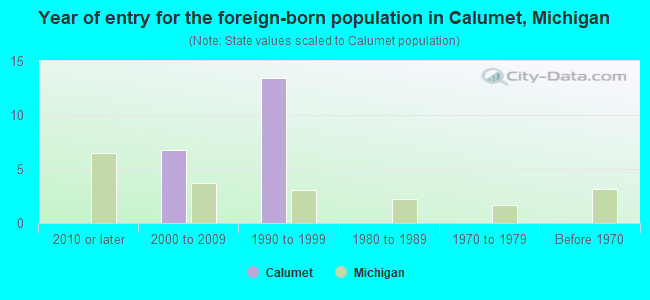 Year of entry for the foreign-born population in Calumet, Michigan