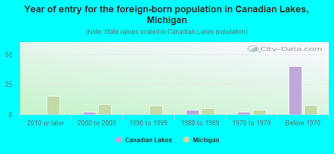 Year of entry for the foreign-born population in Canadian Lakes, Michigan