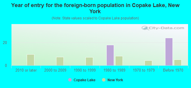 Year of entry for the foreign-born population in Copake Lake, New York