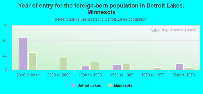 Year of entry for the foreign-born population in Detroit Lakes, Minnesota
