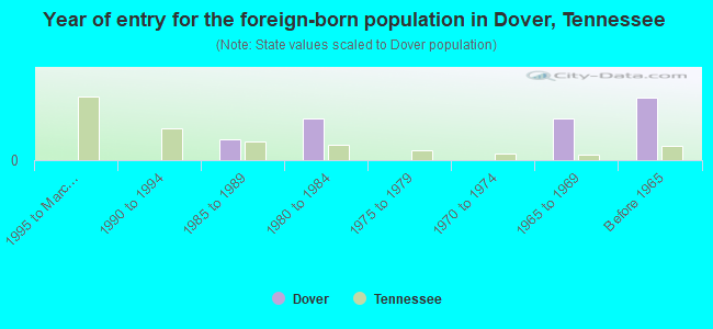 Year of entry for the foreign-born population in Dover, Tennessee