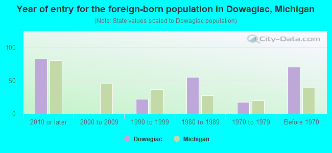 Year of entry for the foreign-born population in Dowagiac, Michigan