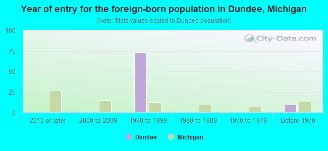 Year of entry for the foreign-born population in Dundee, Michigan