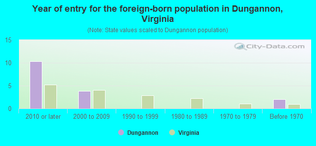 Year of entry for the foreign-born population in Dungannon, Virginia