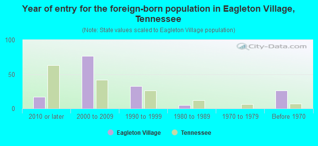 Year of entry for the foreign-born population in Eagleton Village, Tennessee