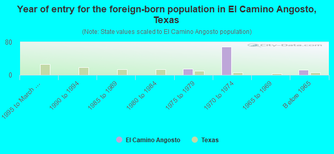 Year of entry for the foreign-born population in El Camino Angosto, Texas