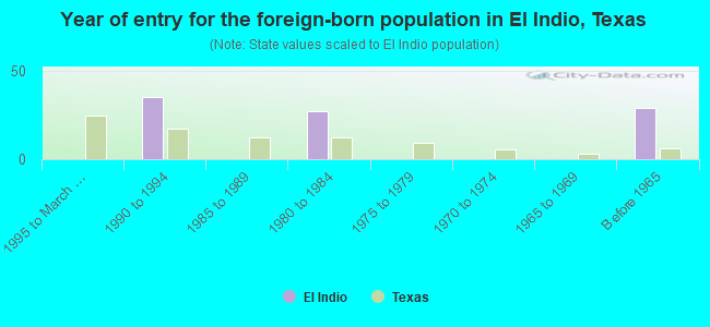 Year of entry for the foreign-born population in El Indio, Texas