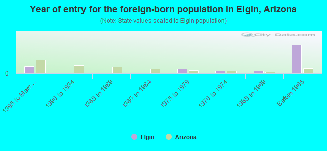 Year of entry for the foreign-born population in Elgin, Arizona