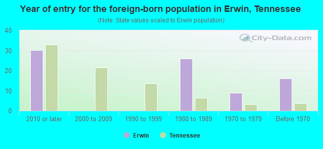 Year of entry for the foreign-born population in Erwin, Tennessee