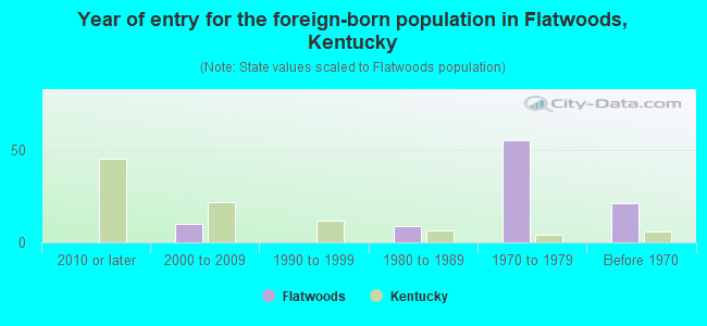 Year of entry for the foreign-born population in Flatwoods, Kentucky