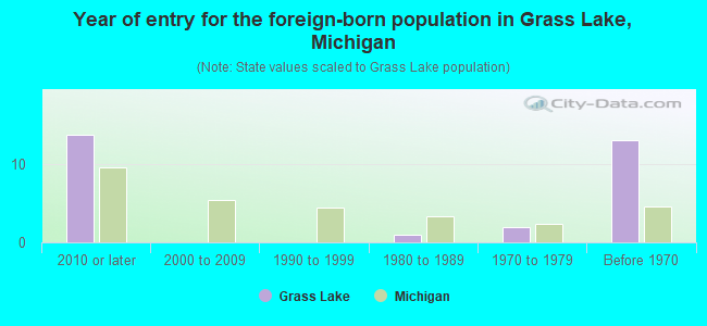 Year of entry for the foreign-born population in Grass Lake, Michigan