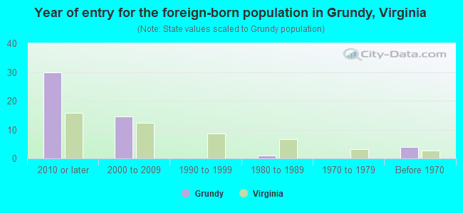 Year of entry for the foreign-born population in Grundy, Virginia