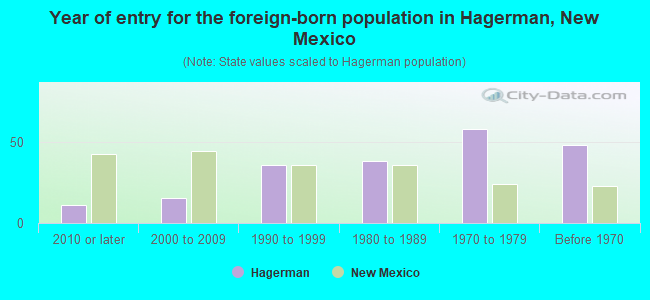 Year of entry for the foreign-born population in Hagerman, New Mexico