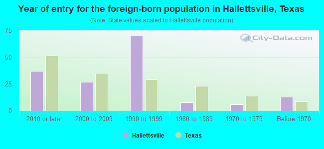 Year of entry for the foreign-born population in Hallettsville, Texas