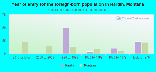 Year of entry for the foreign-born population in Hardin, Montana