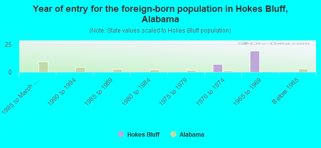 Year of entry for the foreign-born population in Hokes Bluff, Alabama
