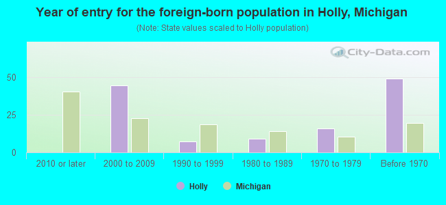Year of entry for the foreign-born population in Holly, Michigan