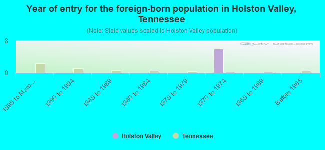 Year of entry for the foreign-born population in Holston Valley, Tennessee