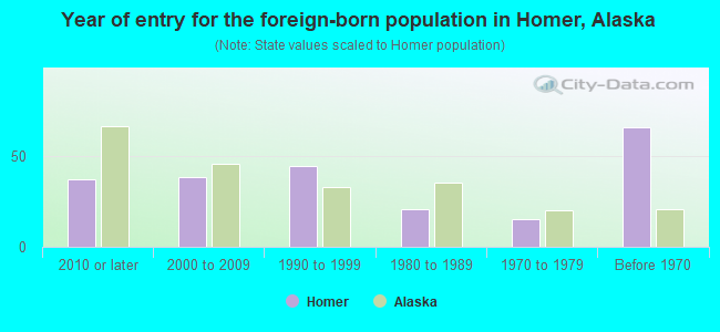 Year of entry for the foreign-born population in Homer, Alaska