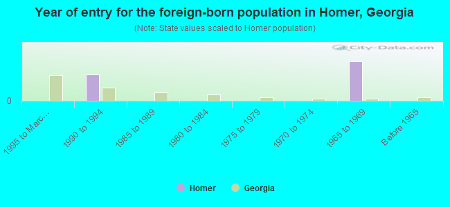 Year of entry for the foreign-born population in Homer, Georgia