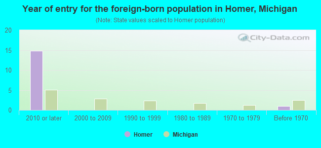 Year of entry for the foreign-born population in Homer, Michigan