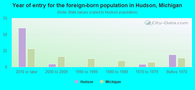 Year of entry for the foreign-born population in Hudson, Michigan