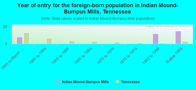 Year of entry for the foreign-born population in Indian Mound-Bumpus Mills, Tennessee