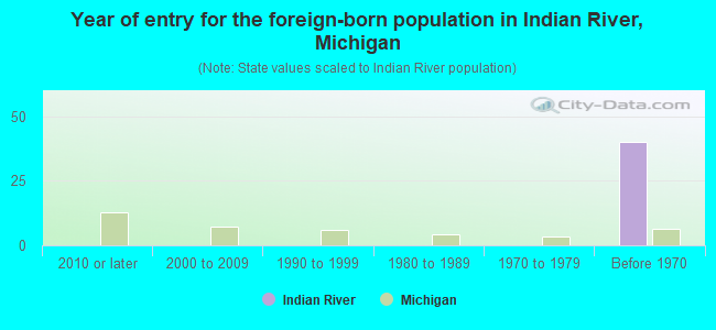 Year of entry for the foreign-born population in Indian River, Michigan