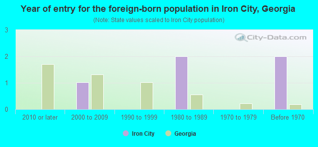 Year of entry for the foreign-born population in Iron City, Georgia