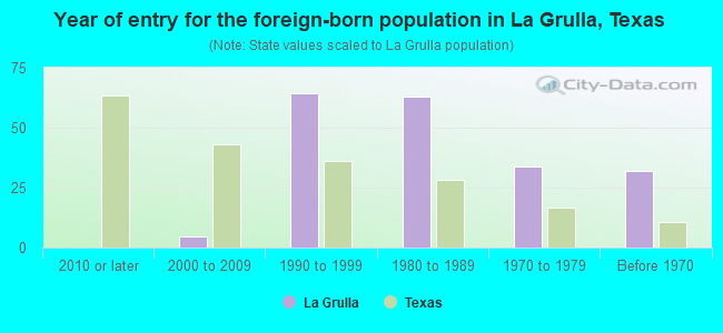Year of entry for the foreign-born population in La Grulla, Texas