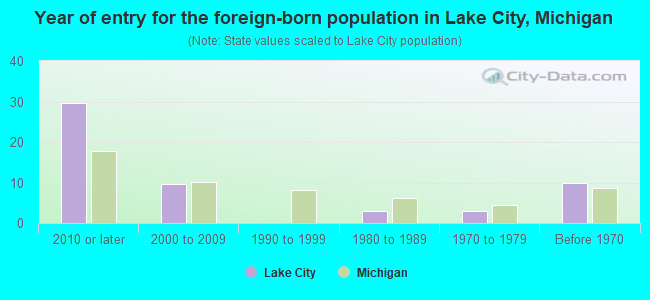 Year of entry for the foreign-born population in Lake City, Michigan