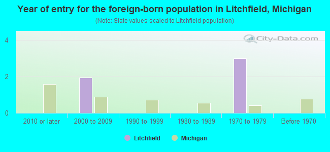 Year of entry for the foreign-born population in Litchfield, Michigan