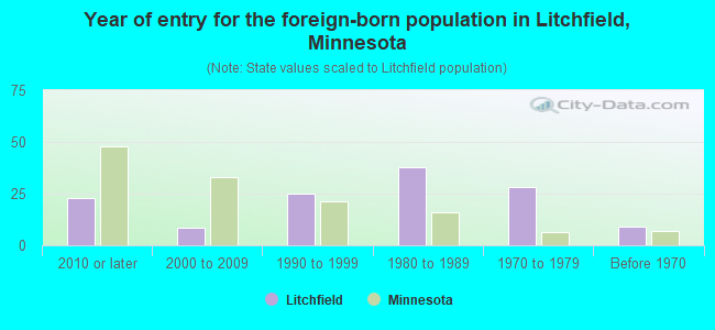 Year of entry for the foreign-born population in Litchfield, Minnesota
