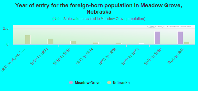 Year of entry for the foreign-born population in Meadow Grove, Nebraska