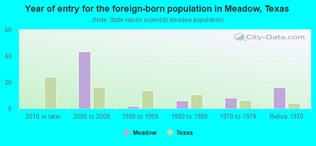 Year of entry for the foreign-born population in Meadow, Texas