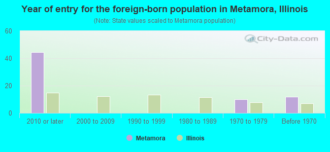 Year of entry for the foreign-born population in Metamora, Illinois