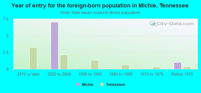 Year of entry for the foreign-born population in Michie, Tennessee