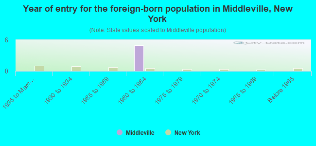 Year of entry for the foreign-born population in Middleville, New York