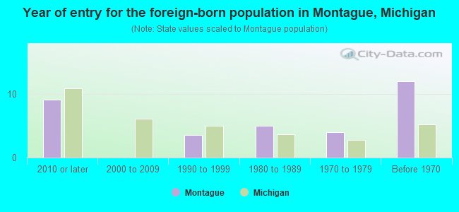Year of entry for the foreign-born population in Montague, Michigan